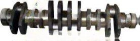Crankshaft 61500020071