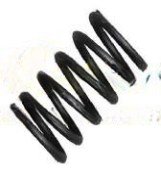 Outer Valve Spring VG1500050002