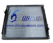 Radiator WG9725530011