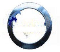 Muffler Washer WG9731540079