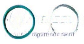 Rear wheel outer and inner oil seal WG9112340113/4