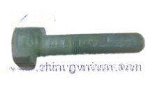 Bolt AZ9725520360