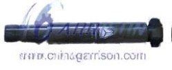 مساعد ممتص صدمات WG9100680001