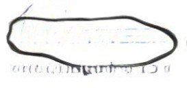 Windshield seal WG1642710002