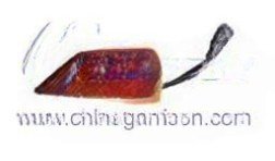 Right side lamp WG9719720018